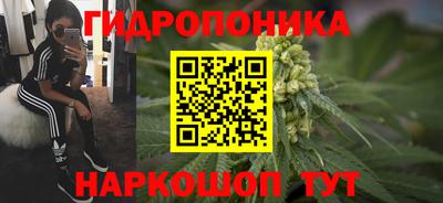 мдпв Гудермес