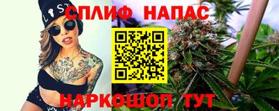 мдпв Гудермес