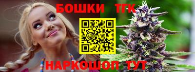 мдпв Гудермес