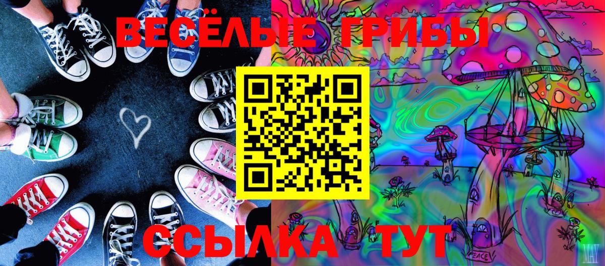 Псилоцибиновые грибы прущие грибы  Псилоцибиновые грибы GOLDEN TEACHER  Вход с VPN  Набережные Челны 